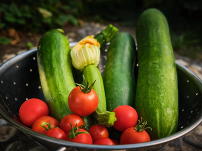 Tomaten Zucchini