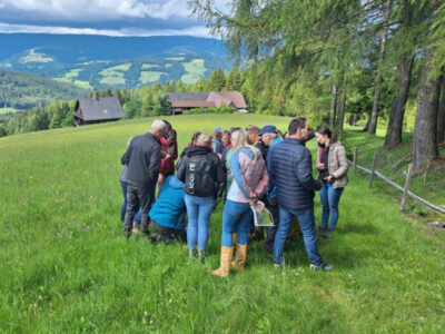 Gruppe an Personen auf Wiese