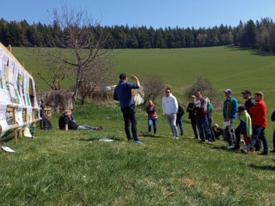 Vortag auf Weide