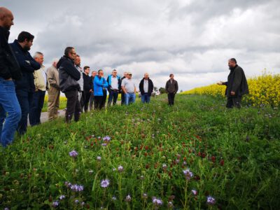 Menschen am Feld mit blühenden Pflanzen