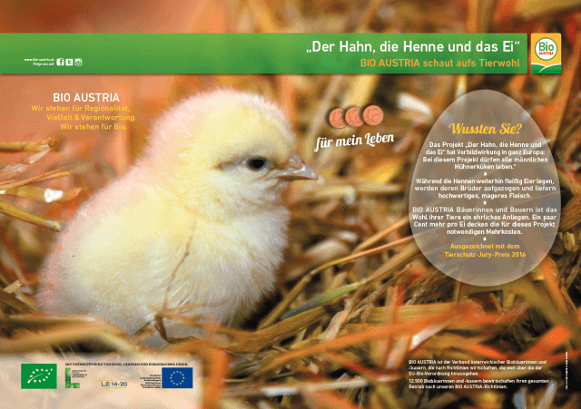 Plakat Der Hahn Die Henne Und Das Ei Bio Austria