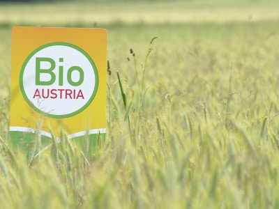 BIO AUSTRIA Logo in einem Getreidefeld