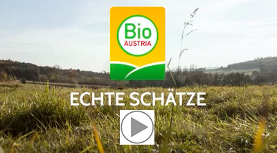 Slider für das Video Echte Schätze