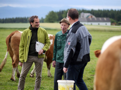 Berater und Biobauern auf der Weide im Gespräch über die Wirtschaftsweise.